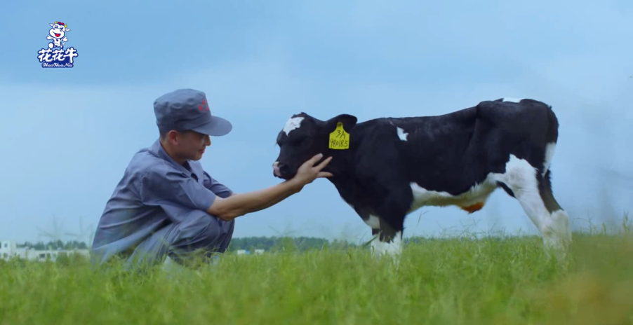 繼往開來 · 再創輝煌 | 花花牛乳業集團召開9月營銷、養殖及飼料月度經營工作會議