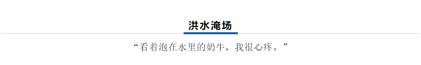 【乳報·聚焦】“豫”難而上的中原牛人“太中了”！